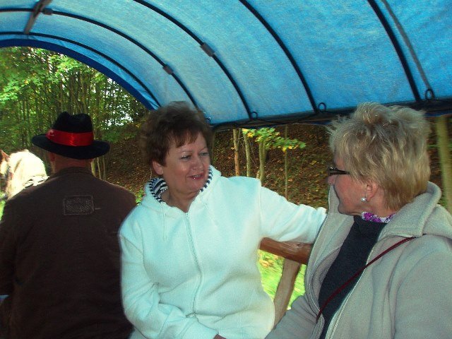 20034d