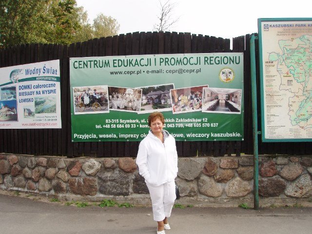 20036